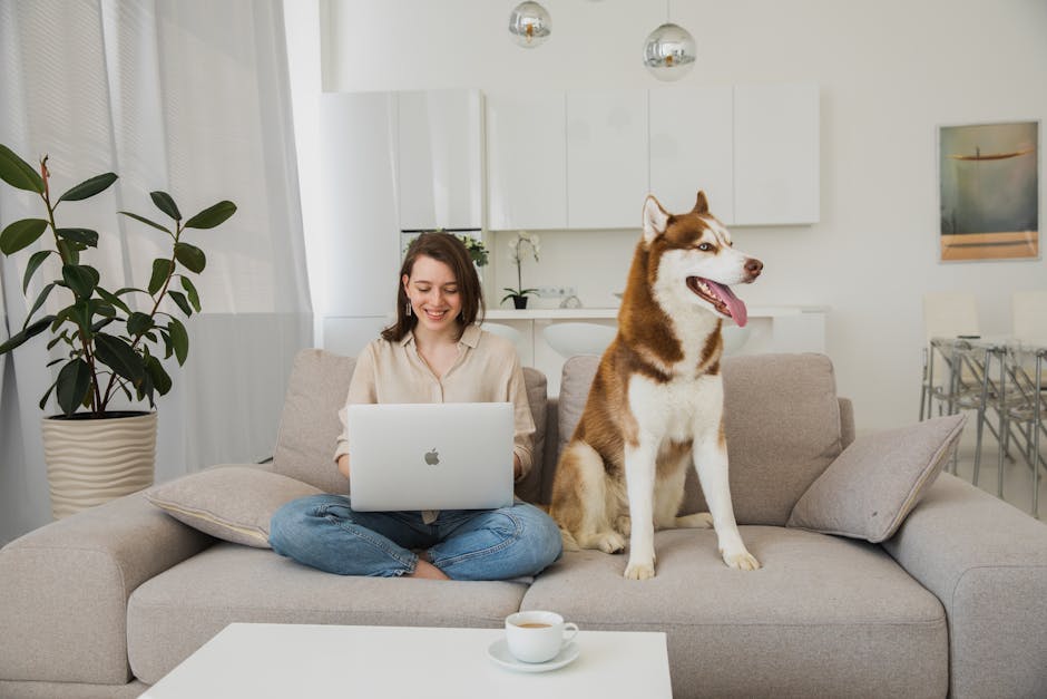 A young woman smiles while using a laptop next to her Siberian Husky on a sofa.