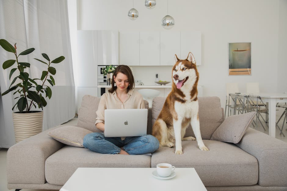 Young woman using laptop with her husky on a sofa in a minimalist living room, embodying Scandinavian design.
