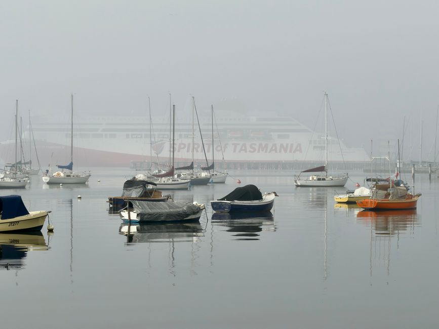 Peaceful scene of boats in foggy Williamstown harbor with Spirit of Tasmania ferry.